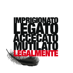 Call to action 1 Immagine