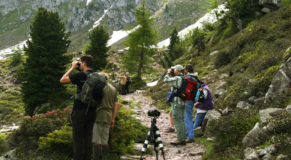 Birdwatching in montagna (foto: M. Lambertini)