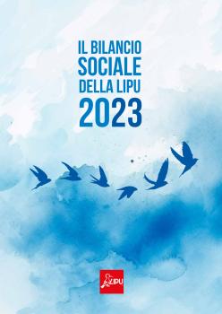 Bilancio_Sociale_2023_websingole, pdfA.pdf