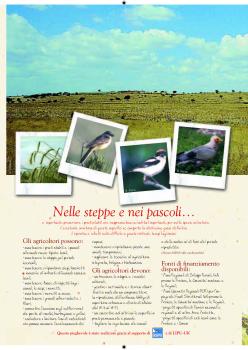 Lipu Depliant Steppe.pdf