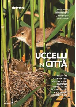 Articolo Natura Uccelli in città.pdf