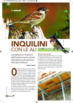 Articolo Natura, M. Dinetti, Inquilini con le ali.pdf