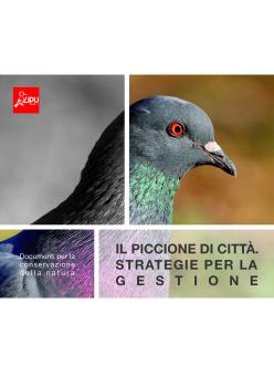 Il Piccione di città. Strategie per la gestione (ultime correzioni, in giallo), 29 febbraio.pdf