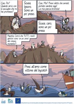 Il bycatch spiegato a fumetti.pdf