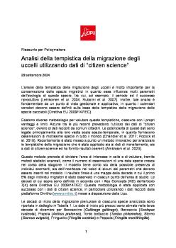 Analisi per policymaker.pdf