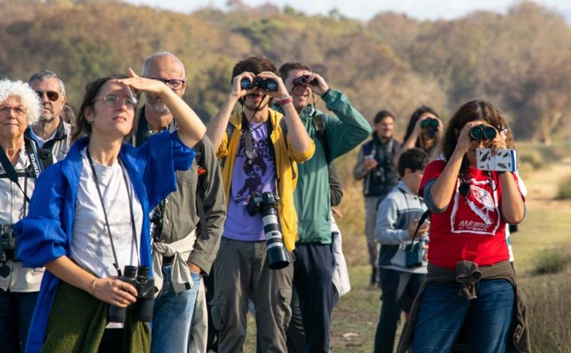  L'Eurobirdwatch 2022 alla Riserva del Chiarone - Oasi Lipu Massaciuccoli