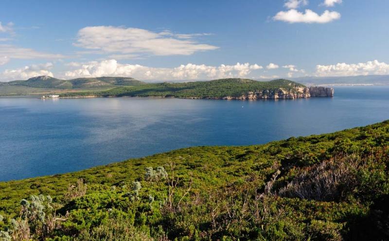 Punta Giglio (Alghero) - Foto AdobeStock/Rodolfo 