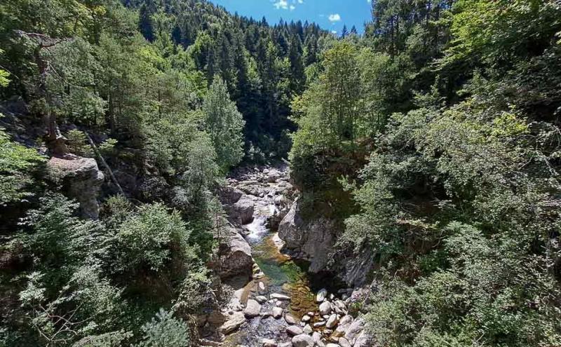 Torrente in Val Vigezzo