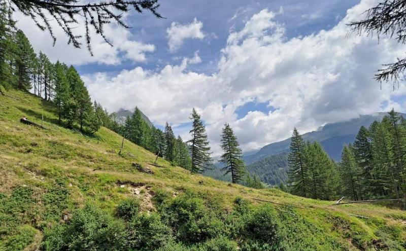 Alpe di Devero - Foto A.Mazza 