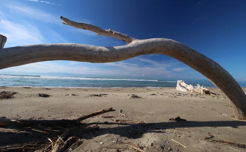  Parco Maremma - © Andrea Mazza 