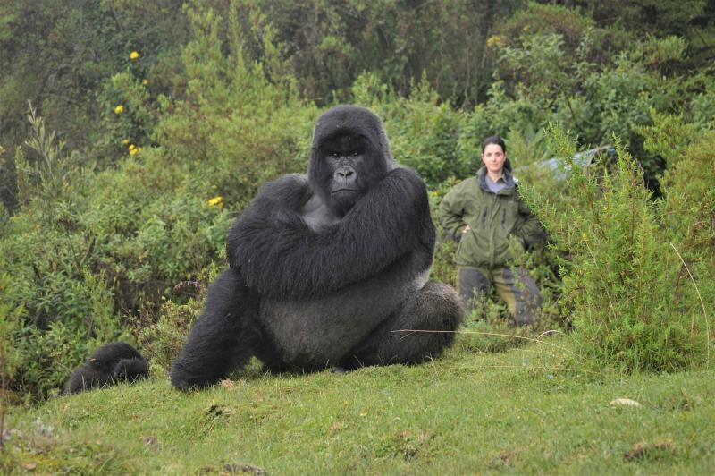  Credits photo: Dian Fossey Gorilla Fund