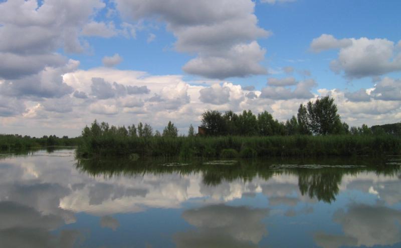 Le Paludi  di Ostiglia, riserva naturale gestita dalla Lipu - Foto Giulio Benatti Giulio Benatti