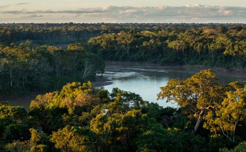 © Day's Edge Productions-WWF US - The rainforest canopy Tambopata National Reserve in the Peruvian Amazon Basin Peru 