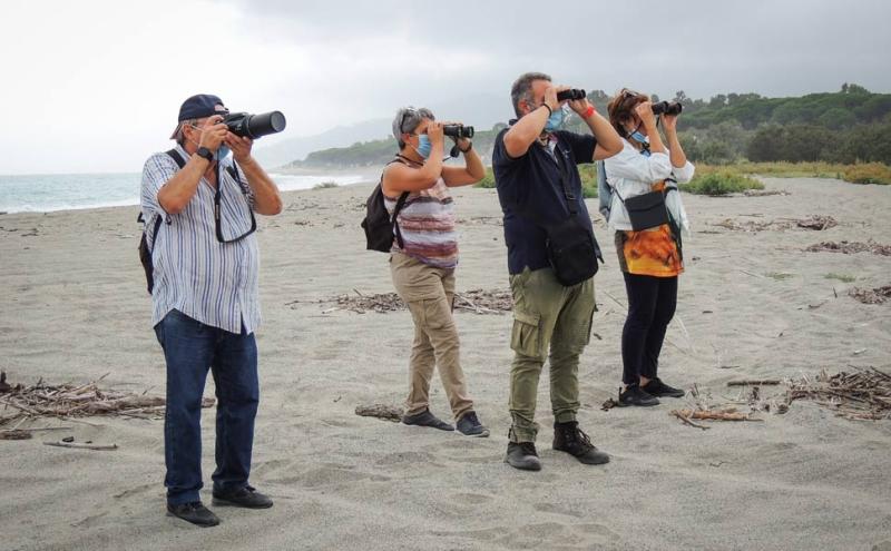 l'Eurobirdwatch della Lipu in Calabria 