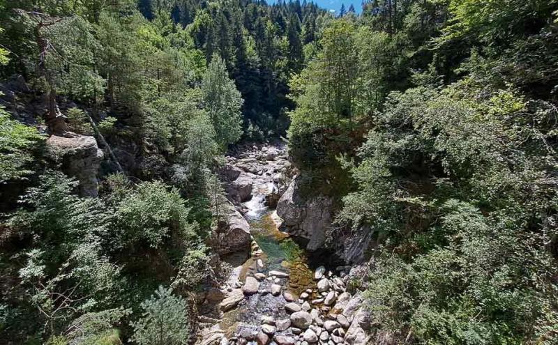 Un torrente in Val Vigezzo - Foto Andrea Mazza 