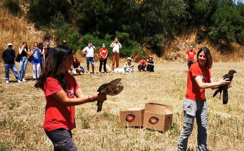 Liberazione di fauna selvatica curata dalla Lipu durante la Festa delle Oasi e riserve 2021 