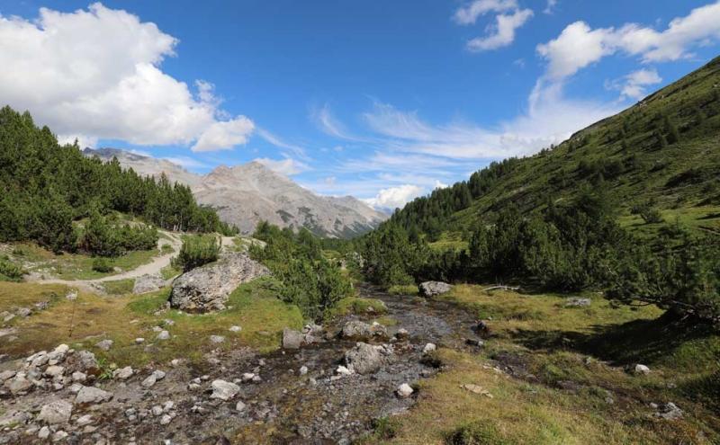 Parco nazionale dello Stelvio - A.Mazza/Lipu 