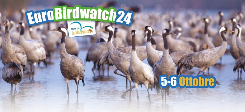 Il manifesto dell'Eurobirdwatch 2024