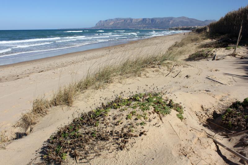 Dune alla foce del torrente Calatubo (Sicilia)