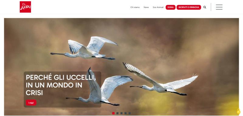 La home page del nuovo sito, particolare