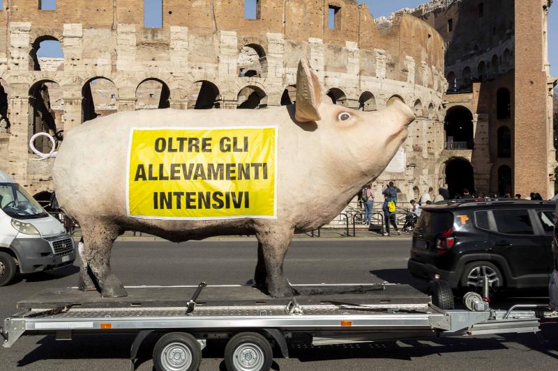 Un momento della campagna 