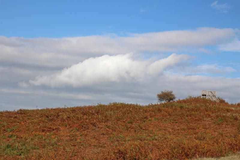 Parco della Maremma