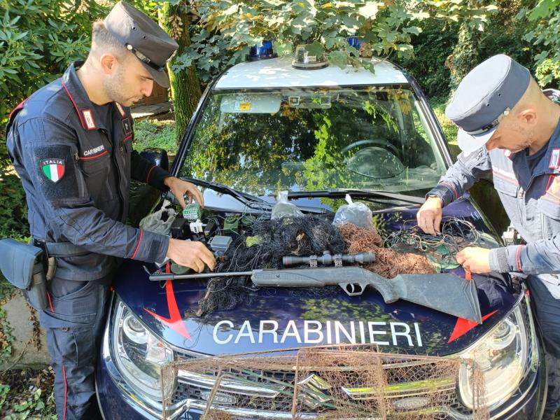 Sequestro Carabinieri forestali Pettirosso 2024