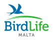 BirdLife Malta