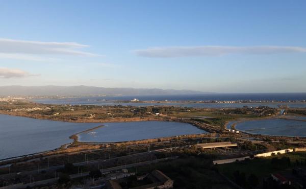 Veduta del parco regionale Molentargius - G.Albarella 