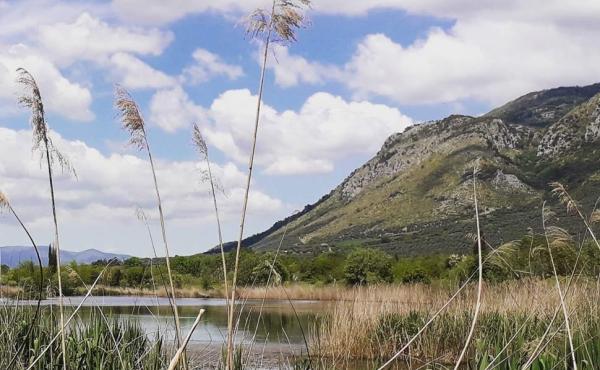 Foto: il Parco di Pantanello. Archivio Fondazione Roffredo Caetani  