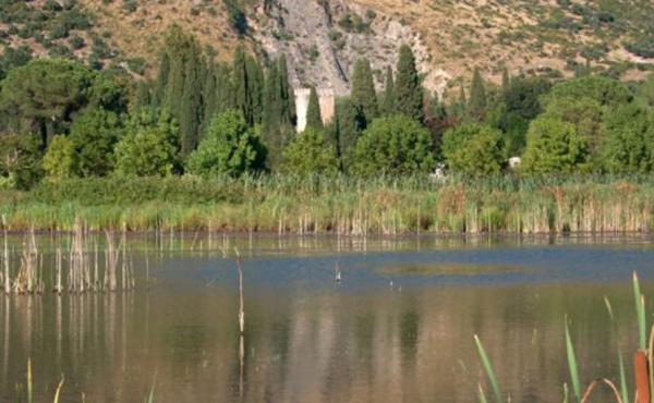 Parco di Pantanello, Torre di Ninfa 