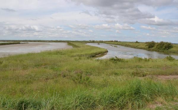 Le valli di Comacchio nel Parco del Delta del Po (Foto Copy. Andrea Mazza) 