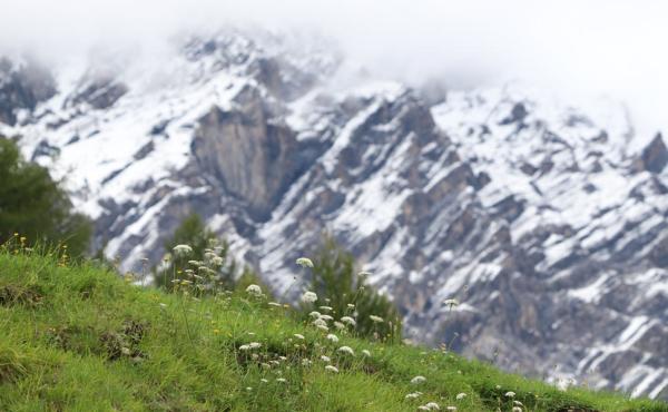 Parco nazionale dello Stelvio, foto A.Mazza Andrea Mazza