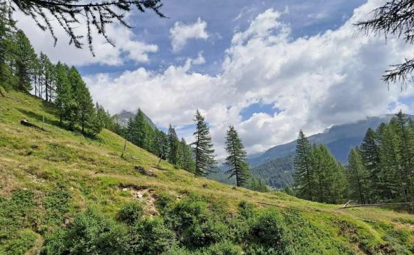 Alpe di Devero - Foto A.Mazza 