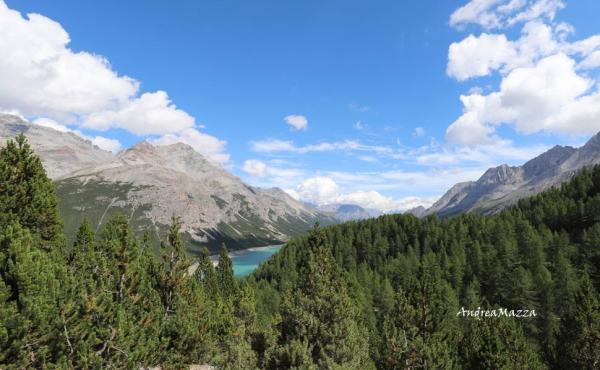 Parco nazionale dello Stelvio - A.Mazza 