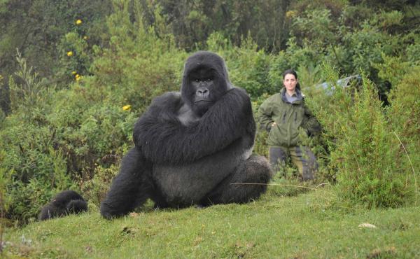  Credits photo: Dian Fossey Gorilla Fund