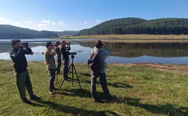 L'Eurobirdwatc 2023 sulla Sila 