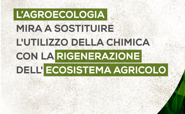 Agroeco1