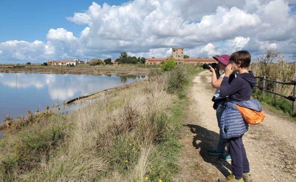 Saline di Tarquinia