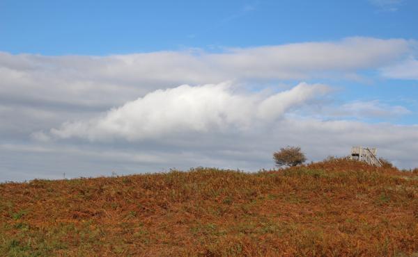 Parco della Maremma