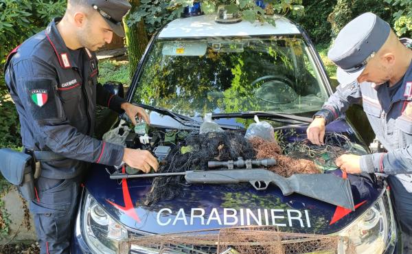 Sequestro Carabinieri forestali Pettirosso 2024