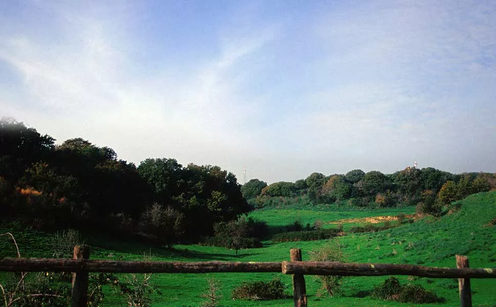 Oasi Castel di Guido