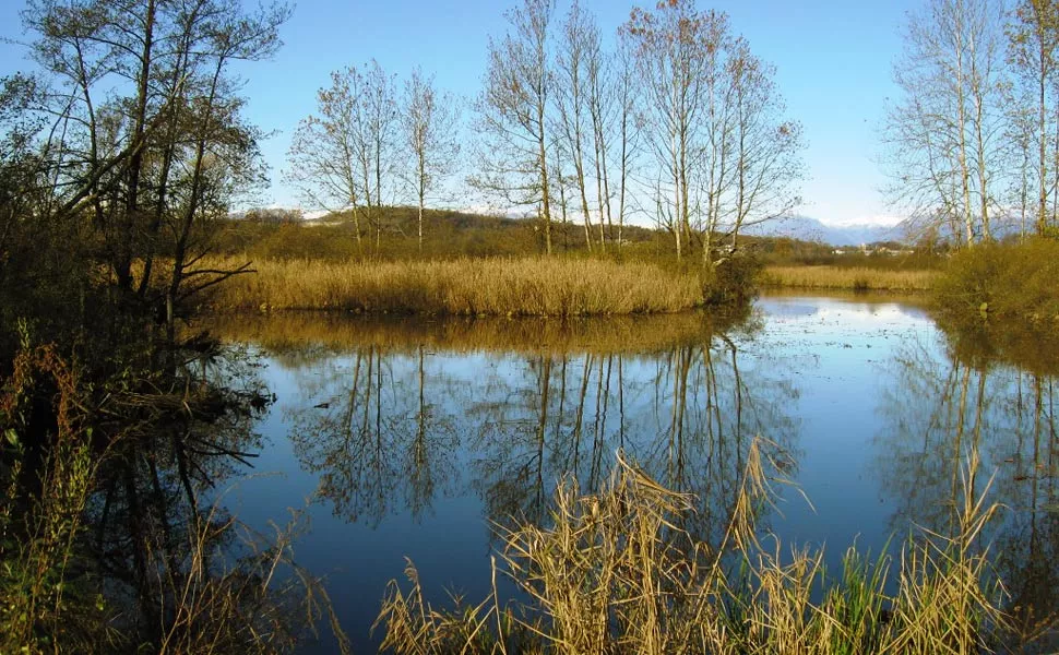 Palude Brabbia in autunno