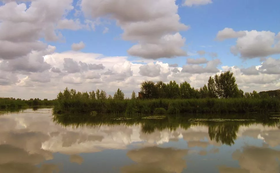 Panorama della Riserva naturale Palude Ostiglia