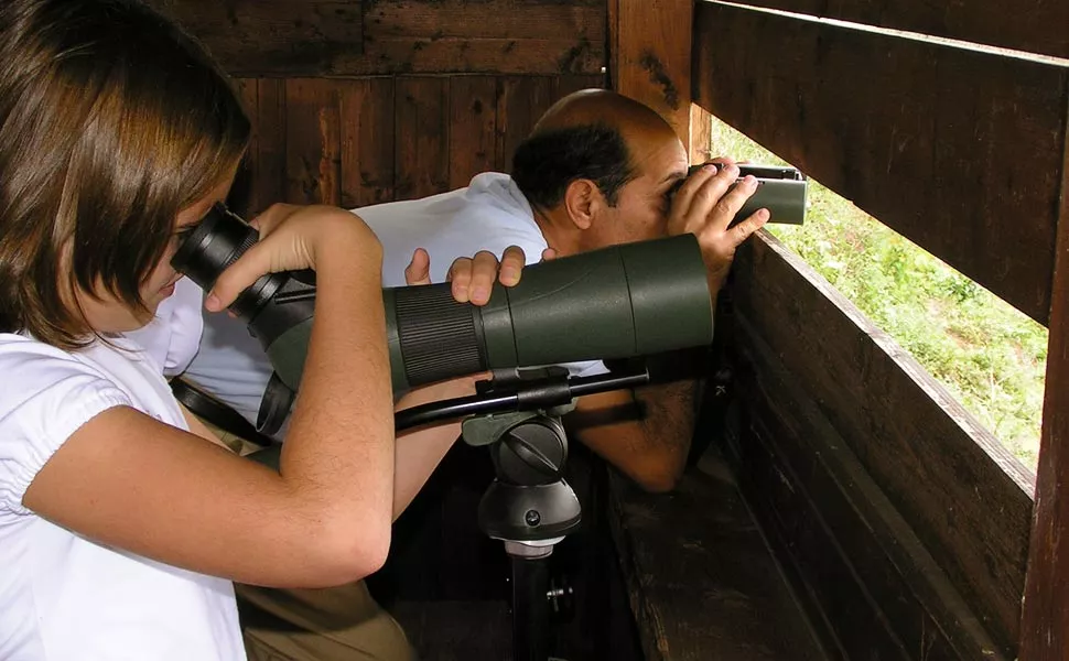 Birdwatching in capanno